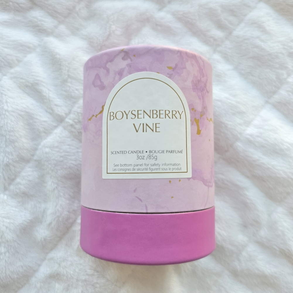 🍒 5/$20 new Boysenberry Vine Scented Candle Home Decor Mini